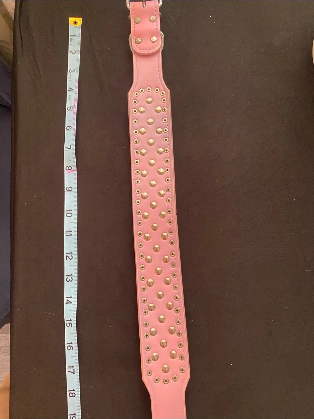Spiked dog collar